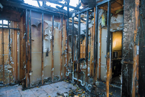 Professional Fire Damage Repair technician working in Englewood, FL